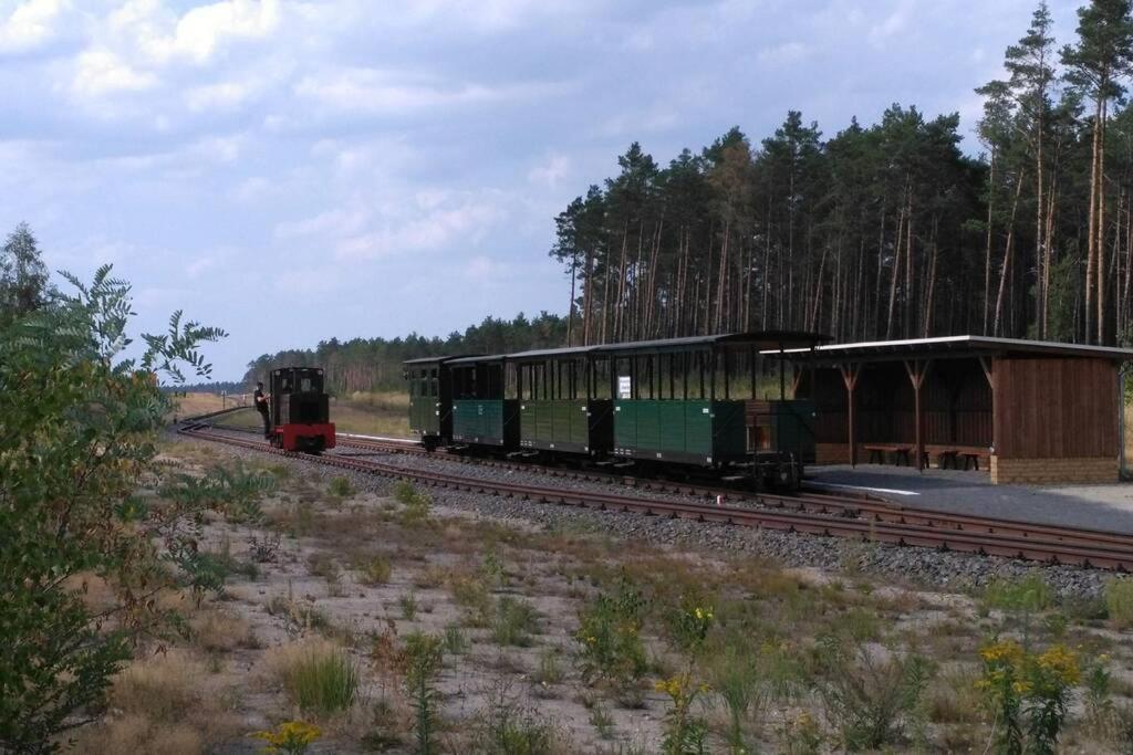 Rietschen, Natur Erleben Zewnętrze zdjęcie