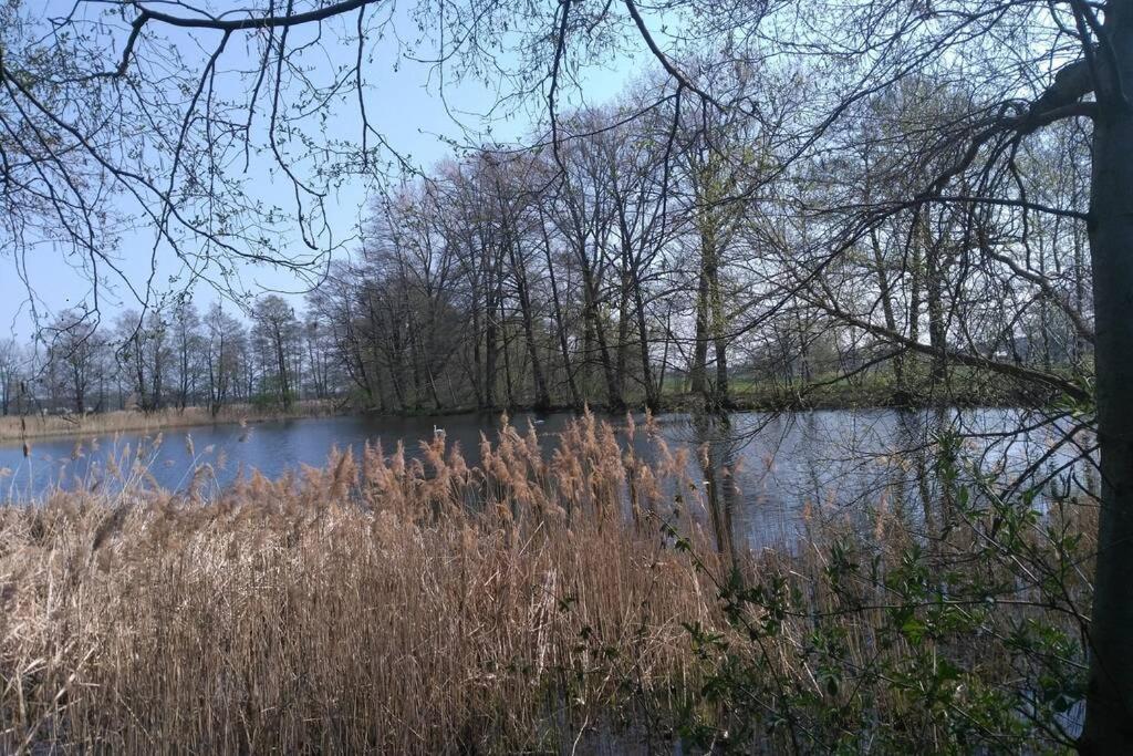 Rietschen, Natur Erleben Zewnętrze zdjęcie